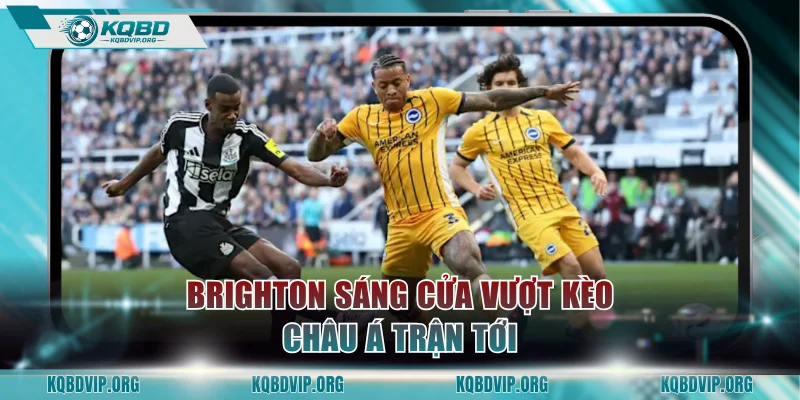 Brighton sáng cửa vượt kèo châu Á trận tới