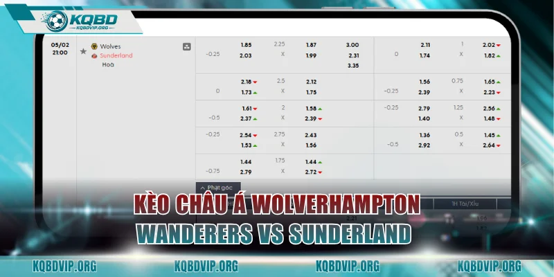 Dự đoán kèo châu Á trận Wolverhampton Wanderers vs Sunderland 