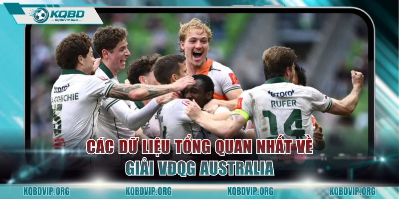 Các dữ liệu tổng quan nhất về giải VĐQG Australia