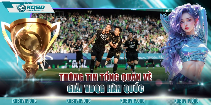 Thông tin tổng quan về giải VĐQG Hàn Quốc
