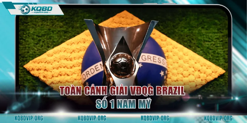 Toàn cảnh giải VĐQG Brazil số 1 Nam Mỹ